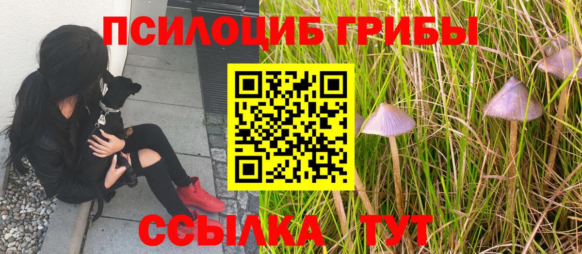 Галлюциногенные грибы MAGIC MUSHROOMS Егорьевск